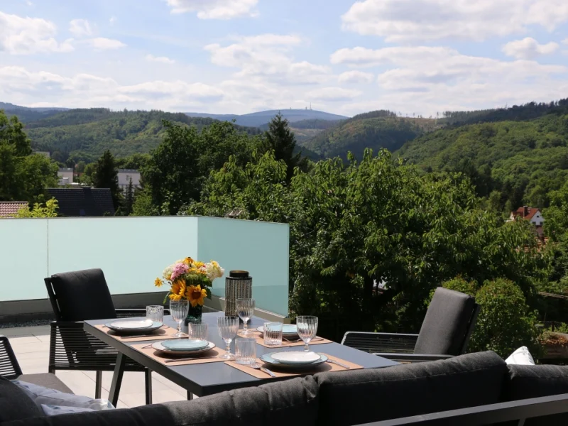 harzhaus-sonnenschein-03