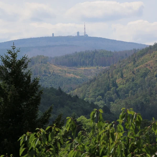 harzhaus-sonnenschein-16